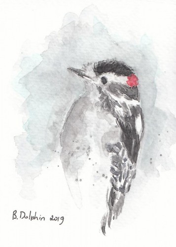 Downy Woodpecker <BR>3½x5 <BR>$20