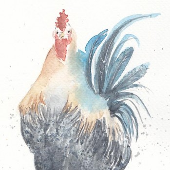 Proud Rooster <BR>5½x8<BR>$35