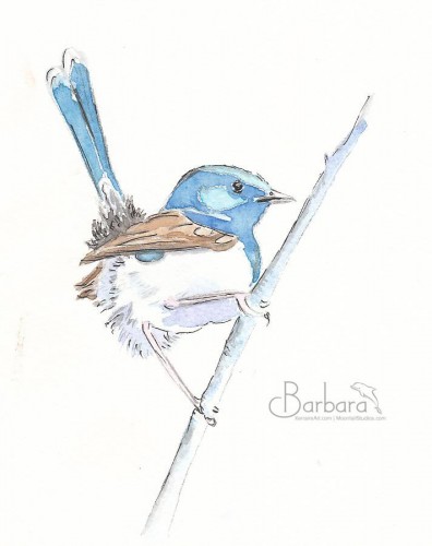 Blue Fairy Wren<BR>6x5<BR>$30
