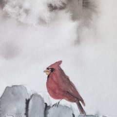 Cardinal in Winter<BR>6x7½<BR>$20