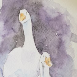 Two Geese<BR>6x8 <BR>$25