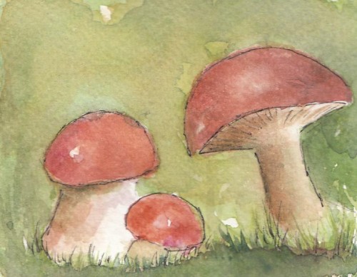 Mushrooms <BR>4x3½<BR>$20