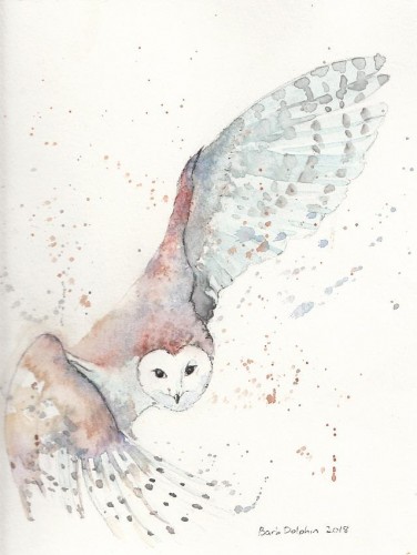 Owl in Flight <BR>9x10 <BR>$45