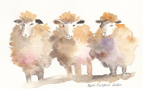 Three Sheep<BR>7x4<BR>$25