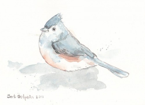 Tufted Titmouse <BR>7x5 <BR>$25