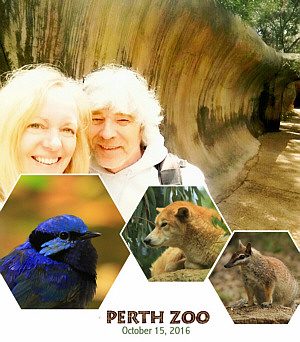 An entire day at the Perth Zoo!