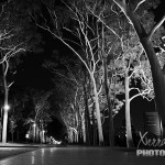 King's Park in black and white