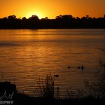 Sunset at Lake Monger