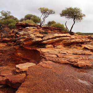 One of Western Australia’s best known parks, with its scenic gorges though red and white banded sandstone and its soaring coastal cliffs.