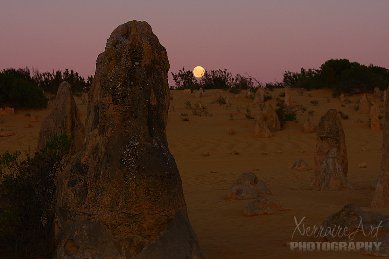 Moonrise Over the Pinnacles